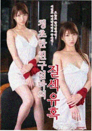 长篇电视动画条目封面